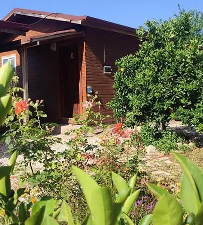 Yolda Bungalow Cafe