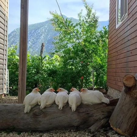 Yolda Bungalow Cafe Case de vacanță *