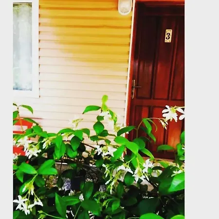 Case de vacanță Yolda Bungalow Cafe Kumluca